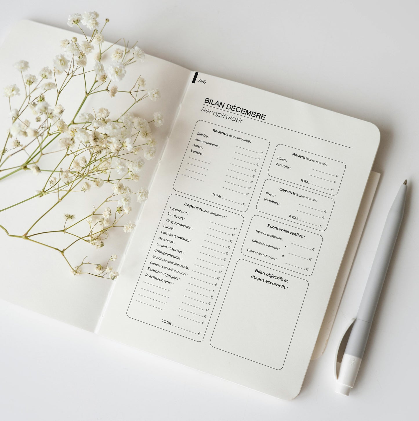 Budget Planner - Édition 2026 (Version française)