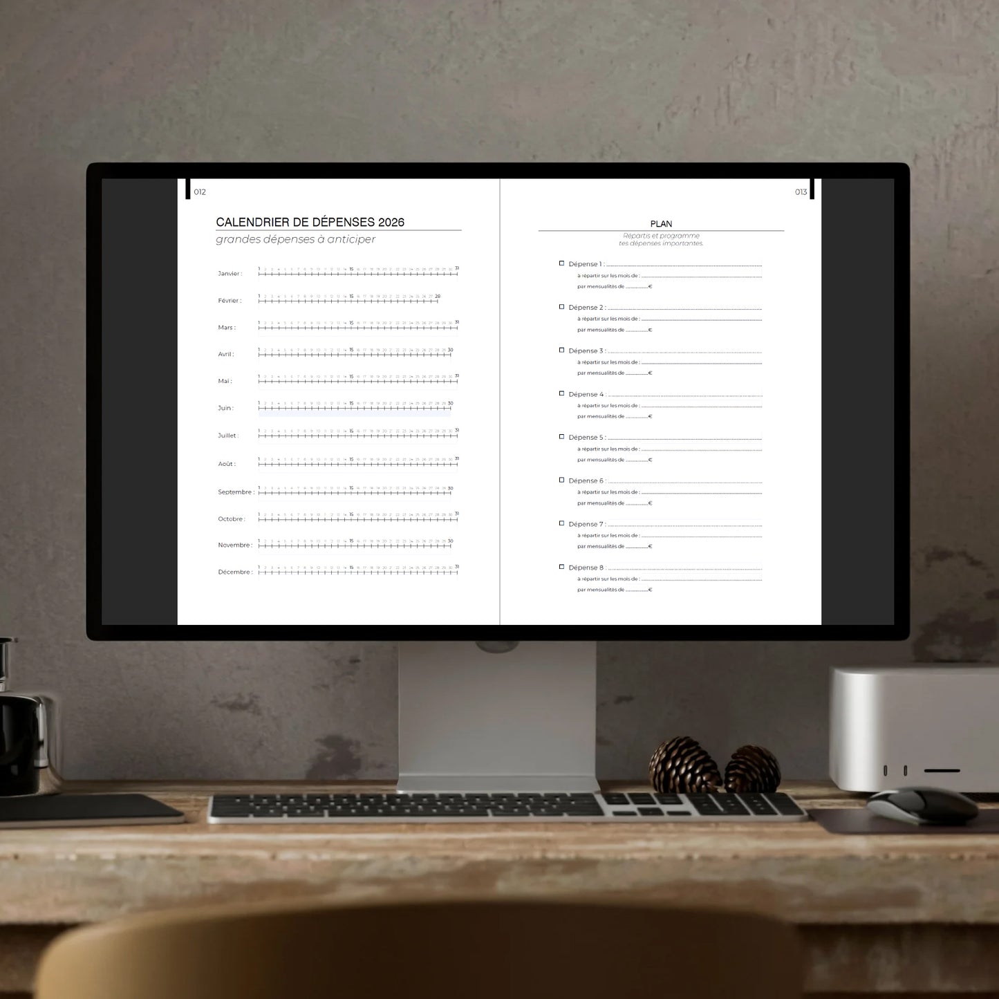 Budget Planner - Édition 2026 (Version française)
